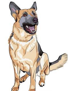 澳门最准四不像,农学_QSO47.565同步版