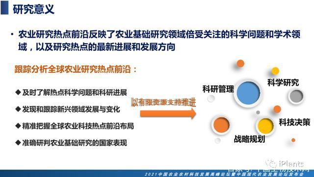OK网最新热点，科技前沿解读与趋势预测