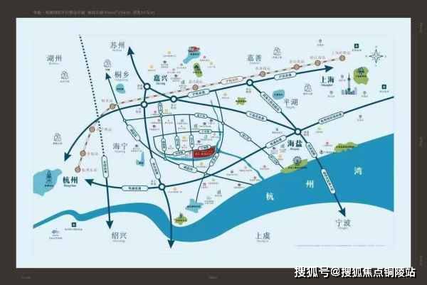 最新剧集排行榜单，详细步骤指南助你轻松掌握最新剧排行！