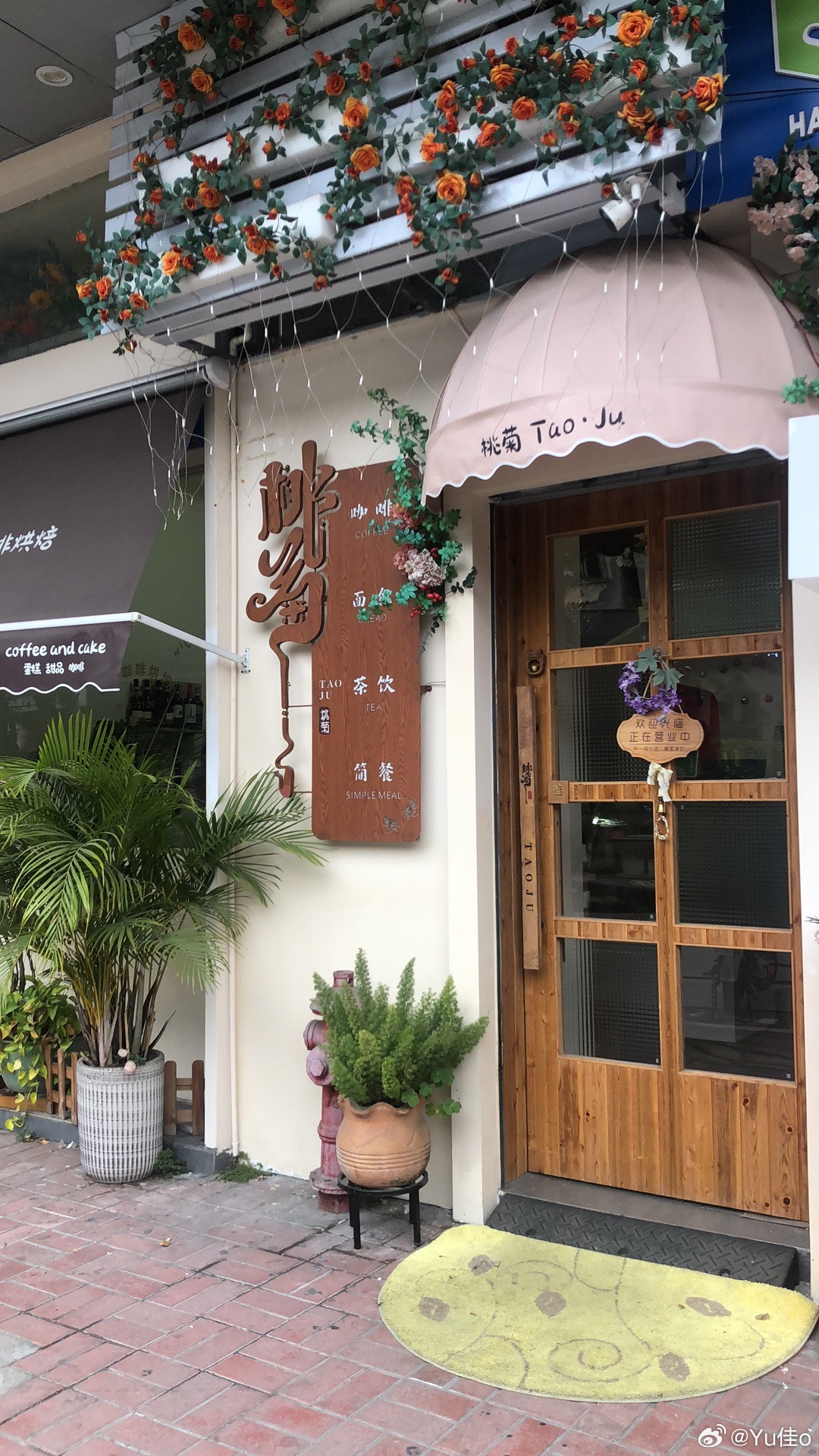 最新入郑政策下的惊喜探索，巷弄深处特色小店揭秘