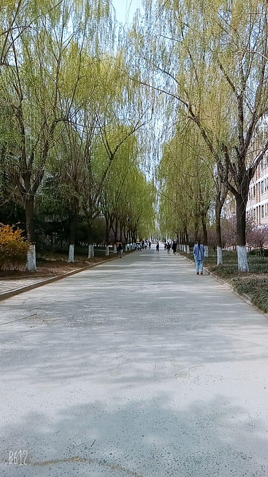 警惕校园暴力，女生殴打事件频发，守护青春花朵刻不容缓