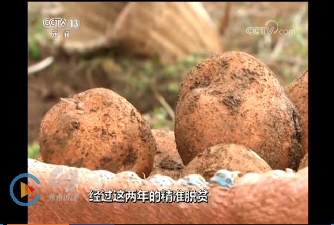 济南冷库疫情最新进展，巷弄深处的冷鲜秘境更新报道