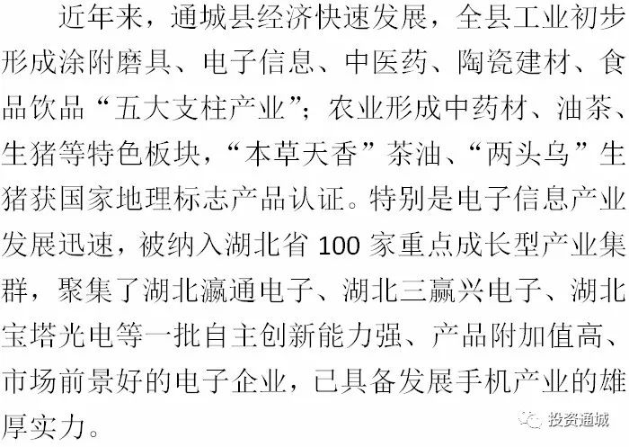 湖北通城最新网，科技引领潮流，生活因科技而不同