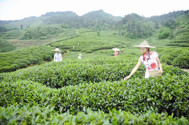 十堰最新探索之旅，自然美景中寻找内心平和与喜悦的旅程